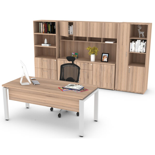 conjunto de dirección moderno bélgica con escritorio y librero de madera clara